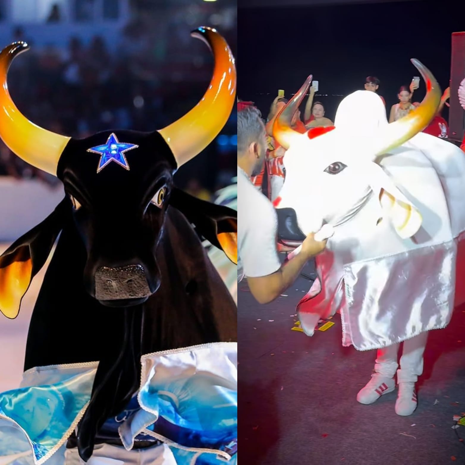 Carnaboi será transmitido pela TV Globo