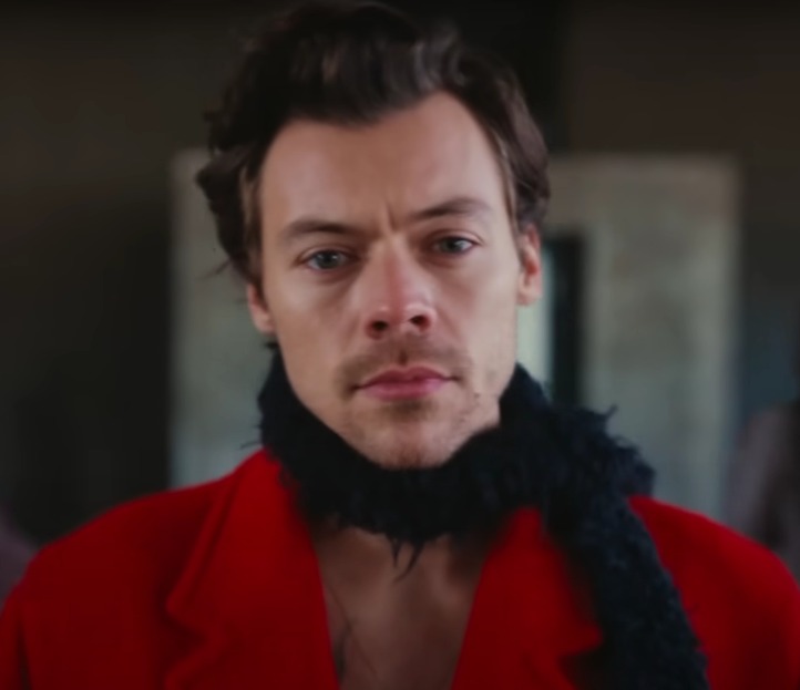 Brasileira é acusada de perseguir Harry Styles após enviar 8 mil cartas ao cantor