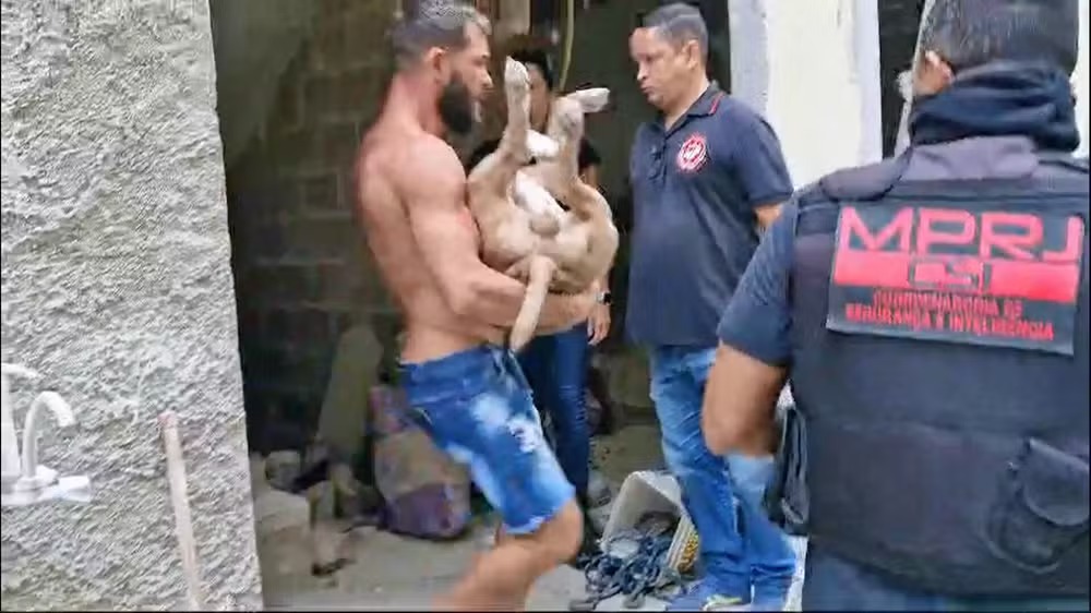 Pitbull ataca promotor durante operação e é morto a tiros