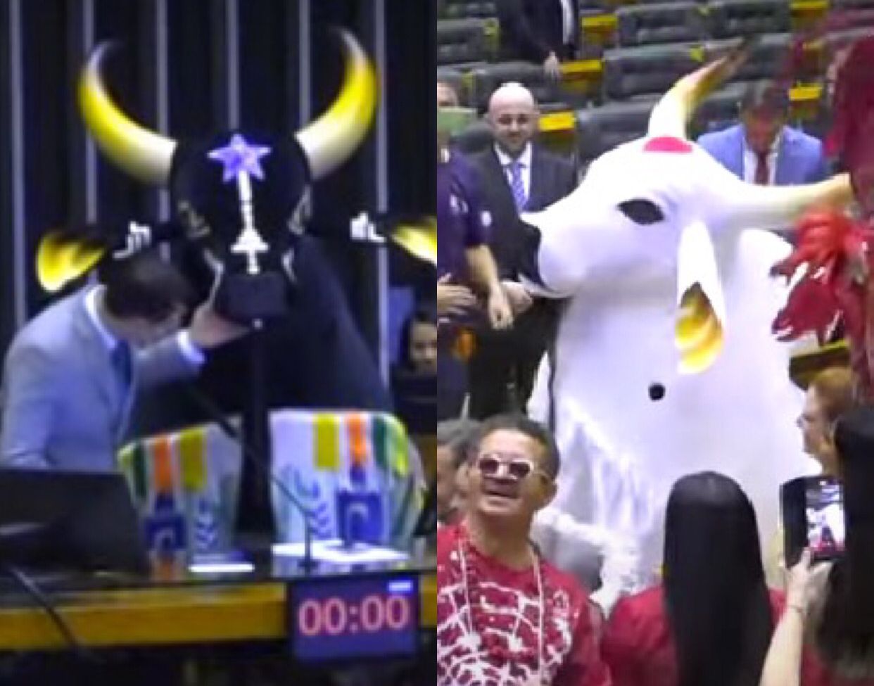 Caprichoso e Garantido são homenageados na Câmara dos Deputados