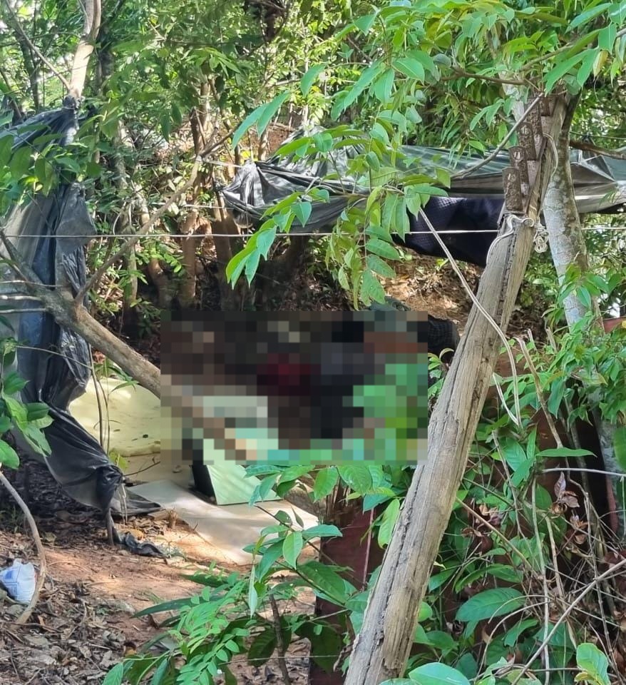 Homem é encontrado morto em área de mata perto do Porto do São Raimundo