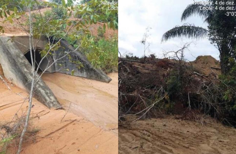 MPAM vai investigar empresas por derrubarem árvores de área de proteção no Tarumã