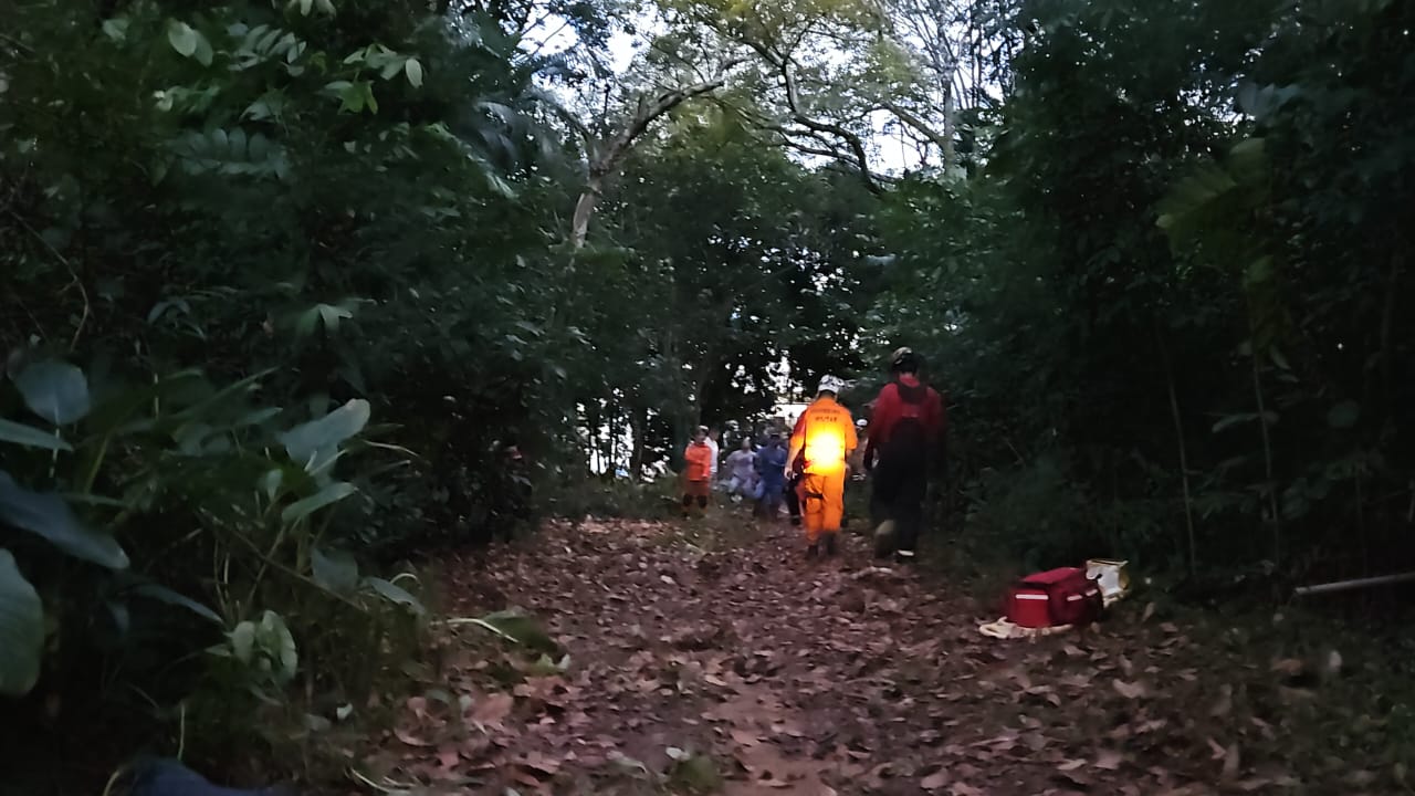 Paraquedista fica preso em árvore após equipamento apresentar problemas em Manaus