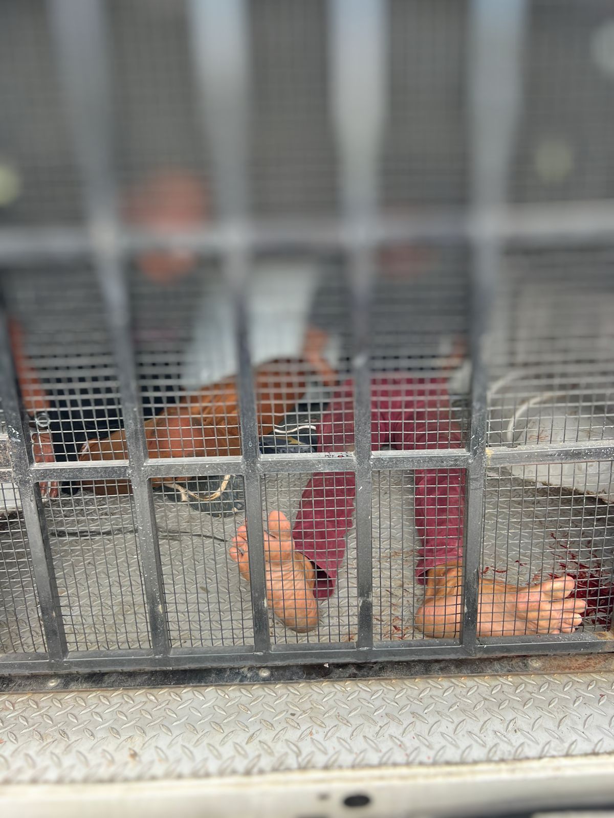 Dupla leva surra após agredir criança e idoso durante assalto a ônibus na Av. Djalma Batista