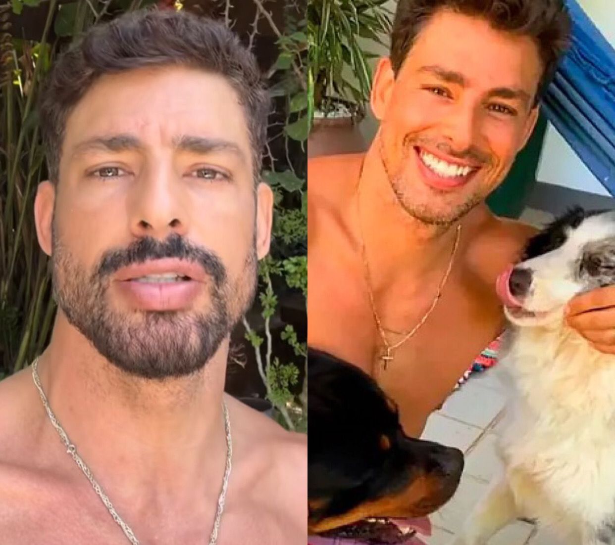 Cauã Reymond agradece apoio dos fãs e pede energia positiva para  2º cão envenenado