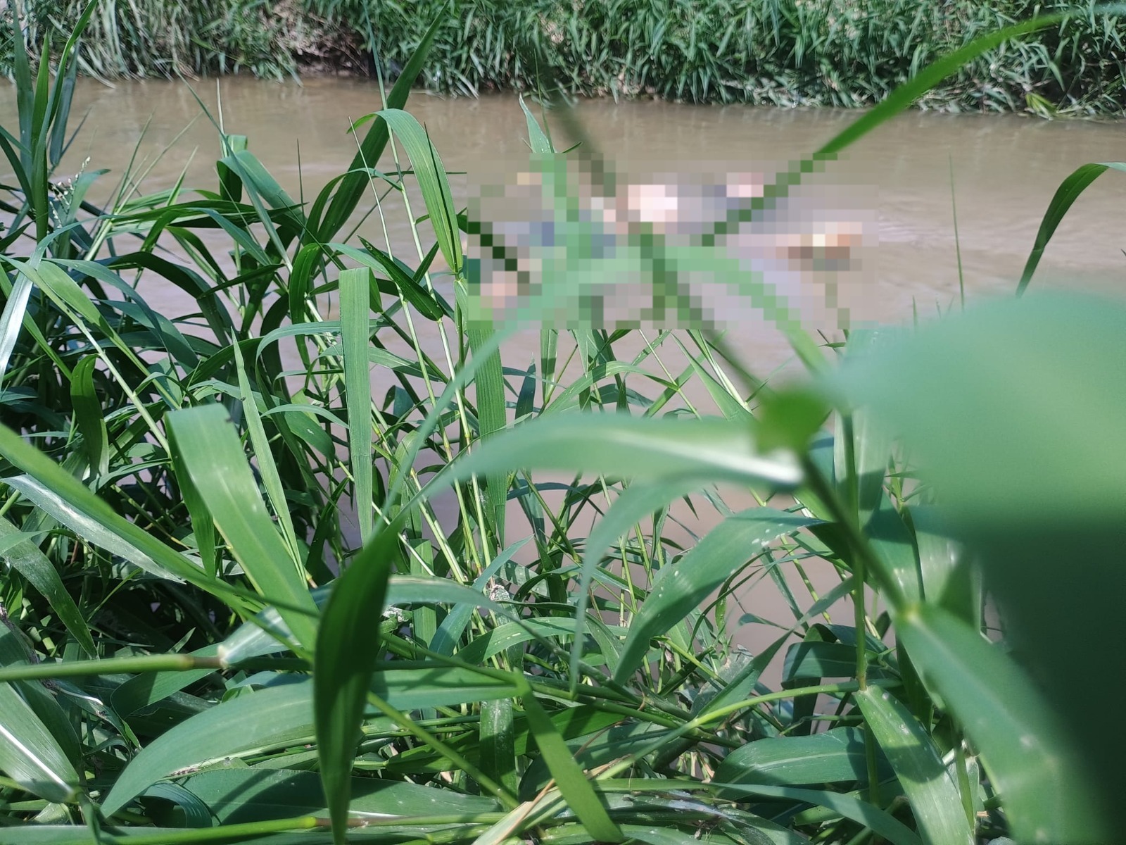 Com sinais de espancamento, corpo de homem é encontrado em igarapé de Manaus