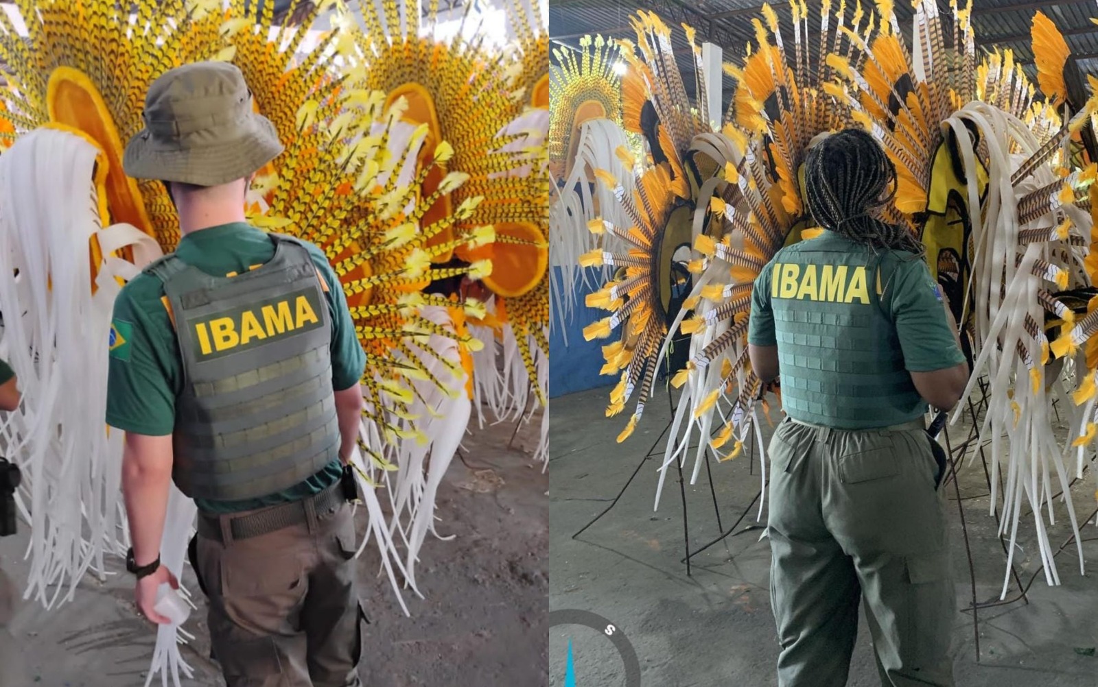 Fantasias de Caprichoso e Garantido passam por vistoria do Ibama