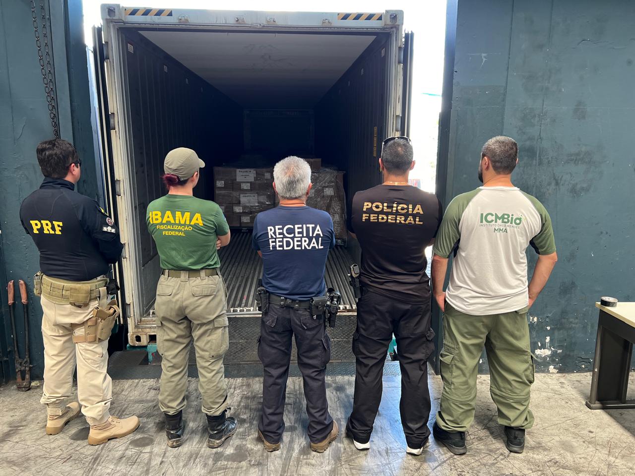 Pirarucu que seria exportado para Singapura ilegalmente é apreendido em Manaus