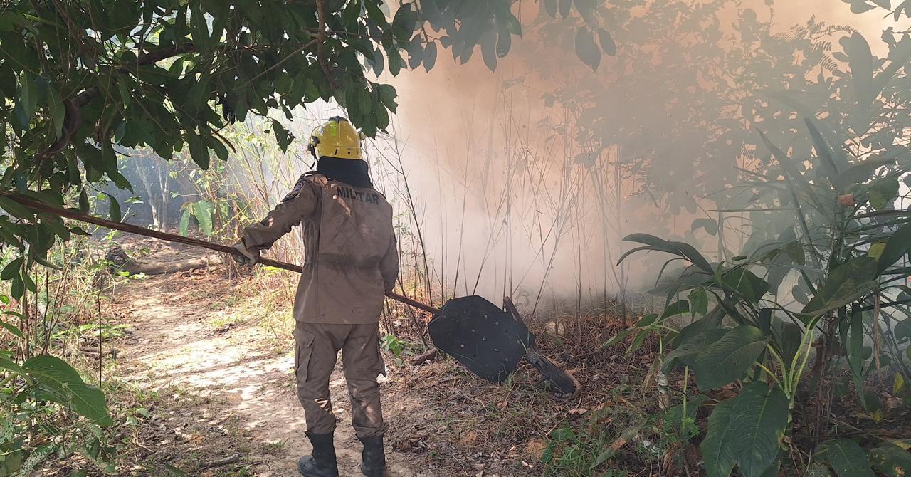 Em um mês, 560 focos de incêndio são registrados no Amazonas