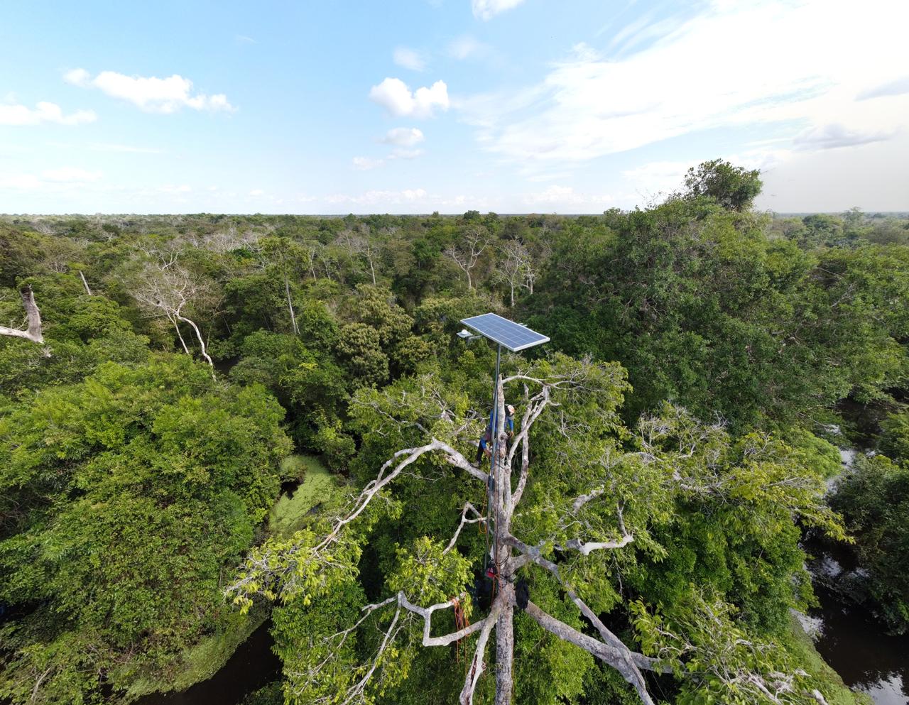 Projeto desenvolvido no Instituto Mamirauá é finalista na competição internacional XPRIZE Rainforest