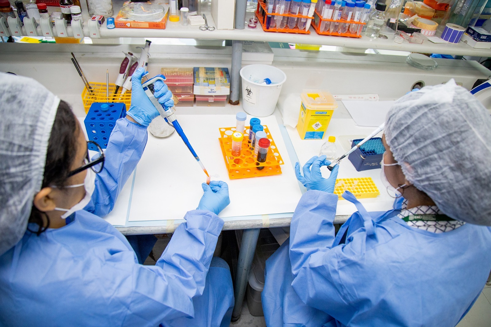 Amazonas institui Dia Estadual de Ciência, Tecnologia, Comunicação, Informática e Inovação