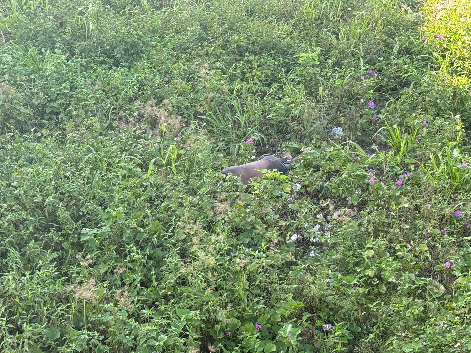 Homem achado morto em terreno baldio na Av. Autaz Mirim teve o pescoço quebrado