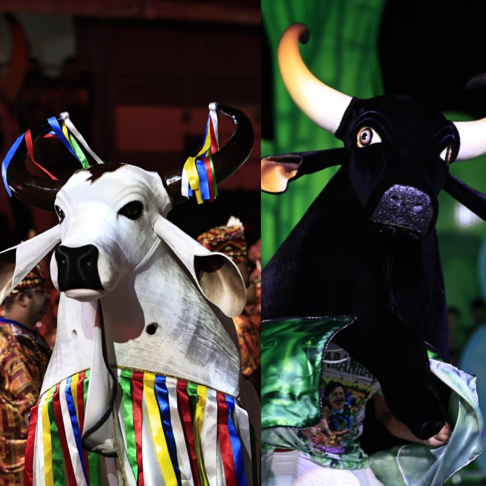 Corre Campo e Garanhão encerram 66º Festival Folclórico do Amazonas - Categoria Ouro