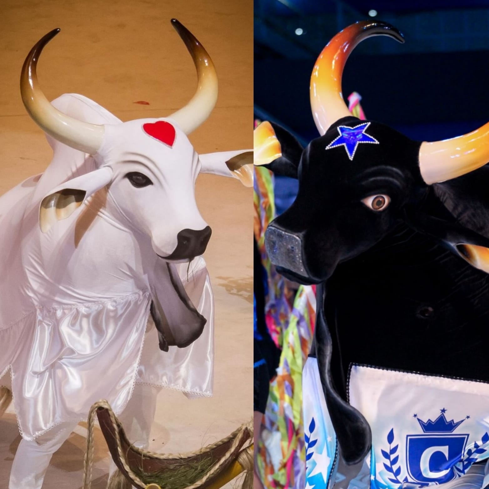 MPC-AM determina que Garantido e Caprichoso escolham nova empresa de ingressos