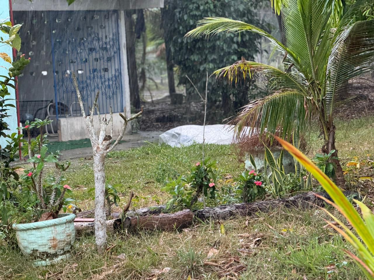 Caseiro é encontrado morto em chácara no Amazonas