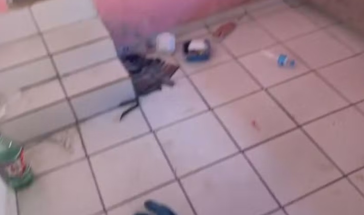 Golpe do amor: homem é sequestrado após marcar encontro em aplicativo de namoro