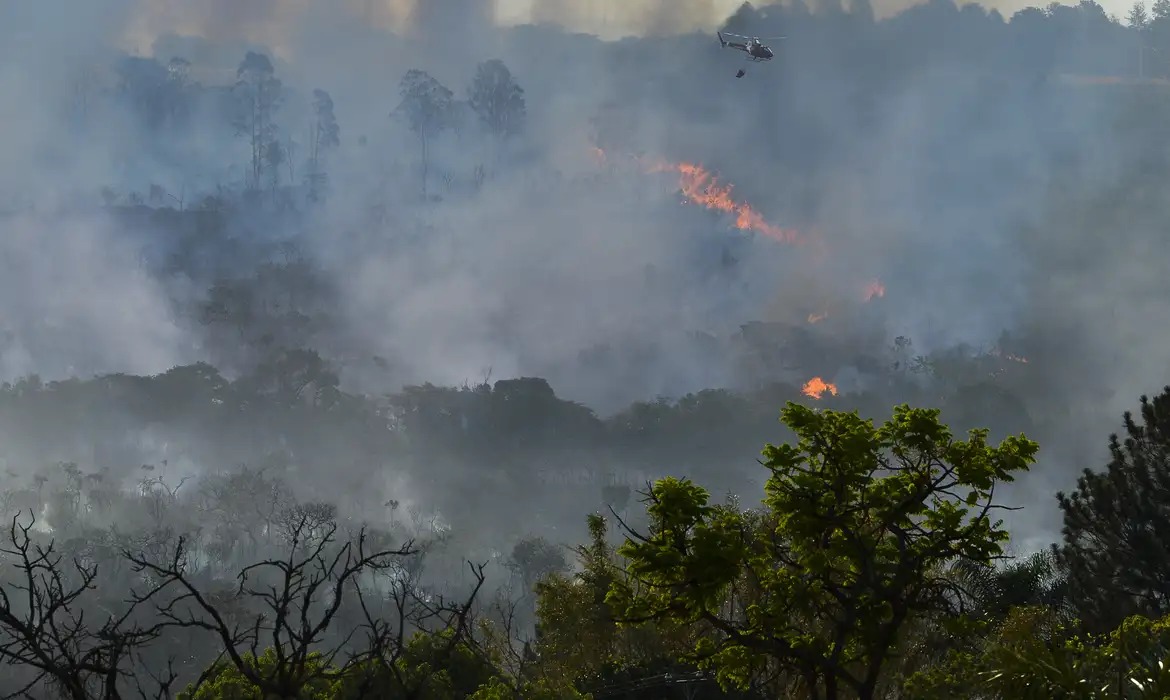 A Amazônia está chorando