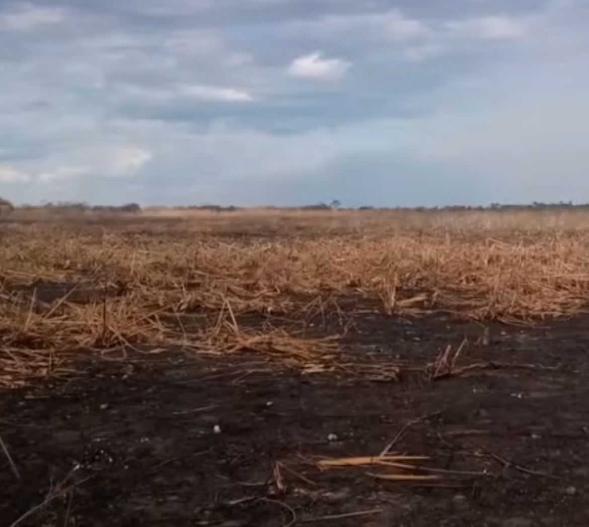 Fazendeiro é multado em R$ 50 milhões por incêndio que devastou 7,5 mil hectares