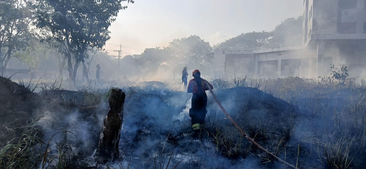 Manaus registra 18 incêndios em áreas de vegetação nas últimas 24 horas