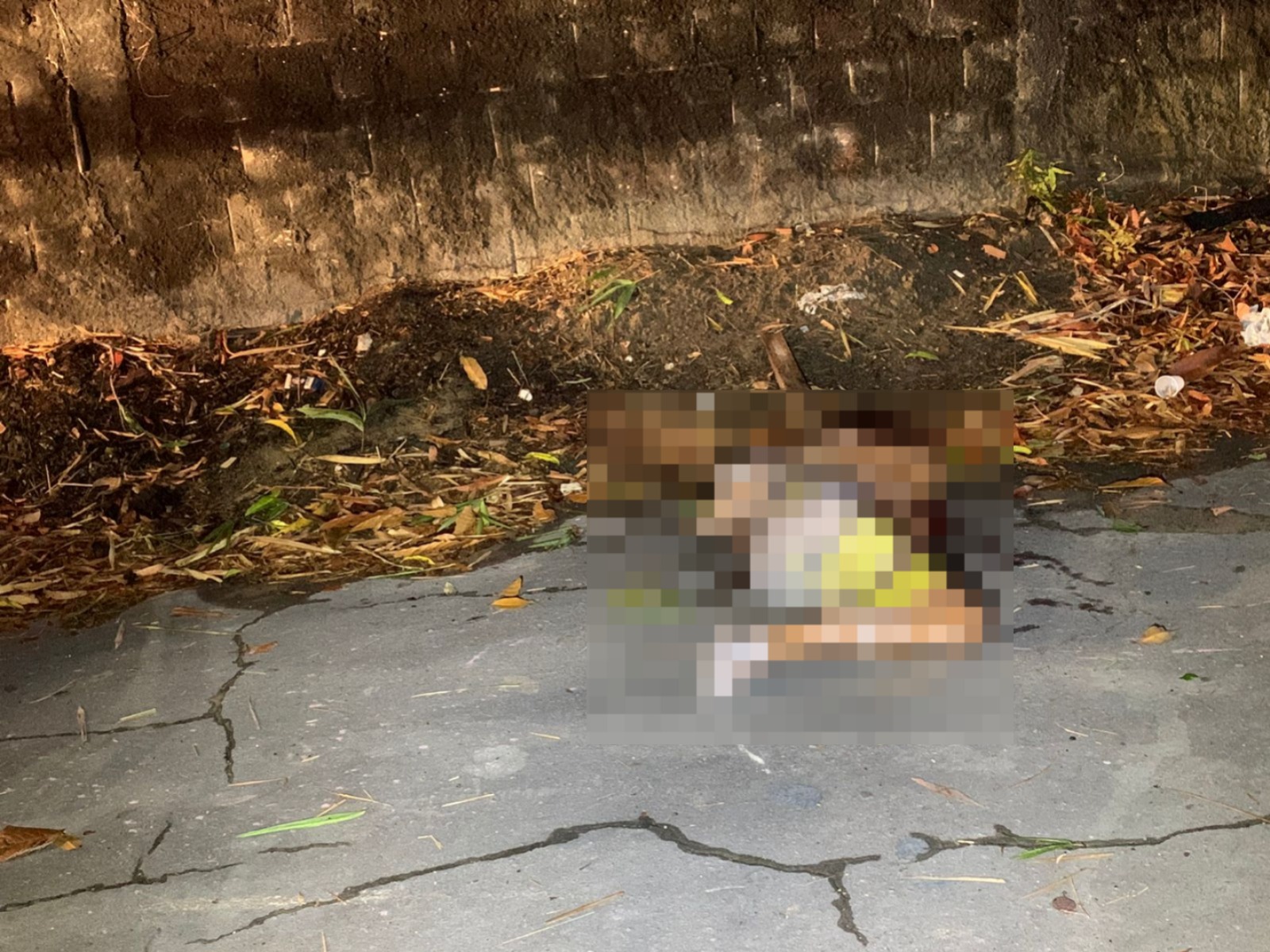 Homem é crivado de balas após ser retirado de carro em Manaus