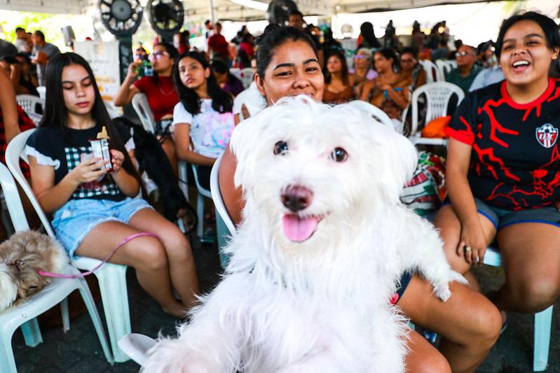 Castramóvel realiza cerca de 4 mil atendimentos em dois meses de Governo Presente