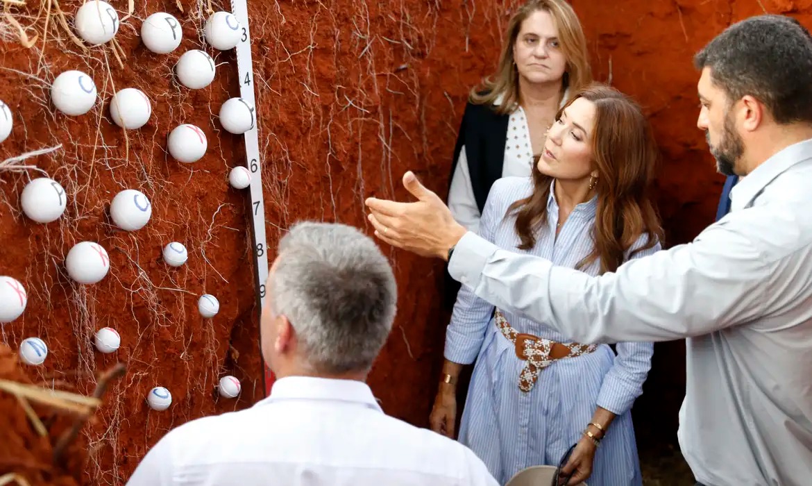 Brasil e Dinamarca buscam ampliar parcerias em sustentabilidade