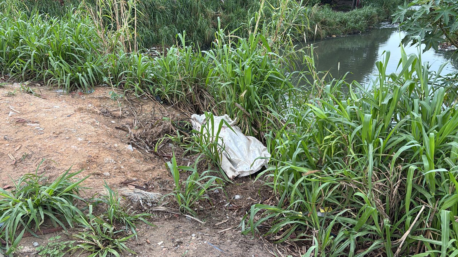 Homem é executado e jogado em igarapé de Manaus