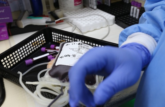 Governo investiga pacientes infectados com dengue após transfusão de sangue em SP