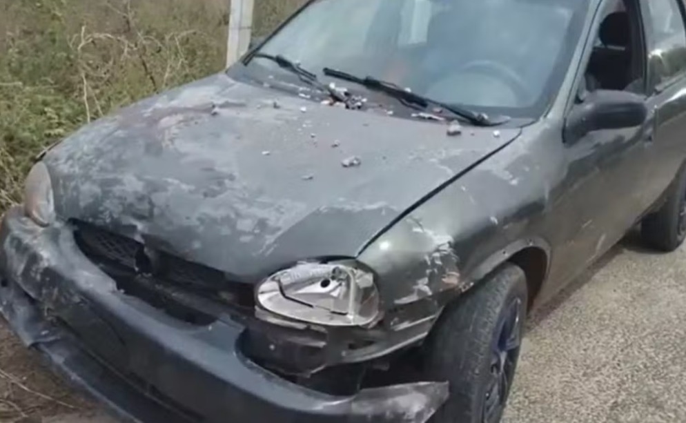 Irmãos gêmeos de 2 anos morrem atropelados após pai perder controle do carro