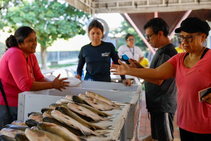 Feirão do Pescado inicia com ofertas e variedade de peixes em Manaus