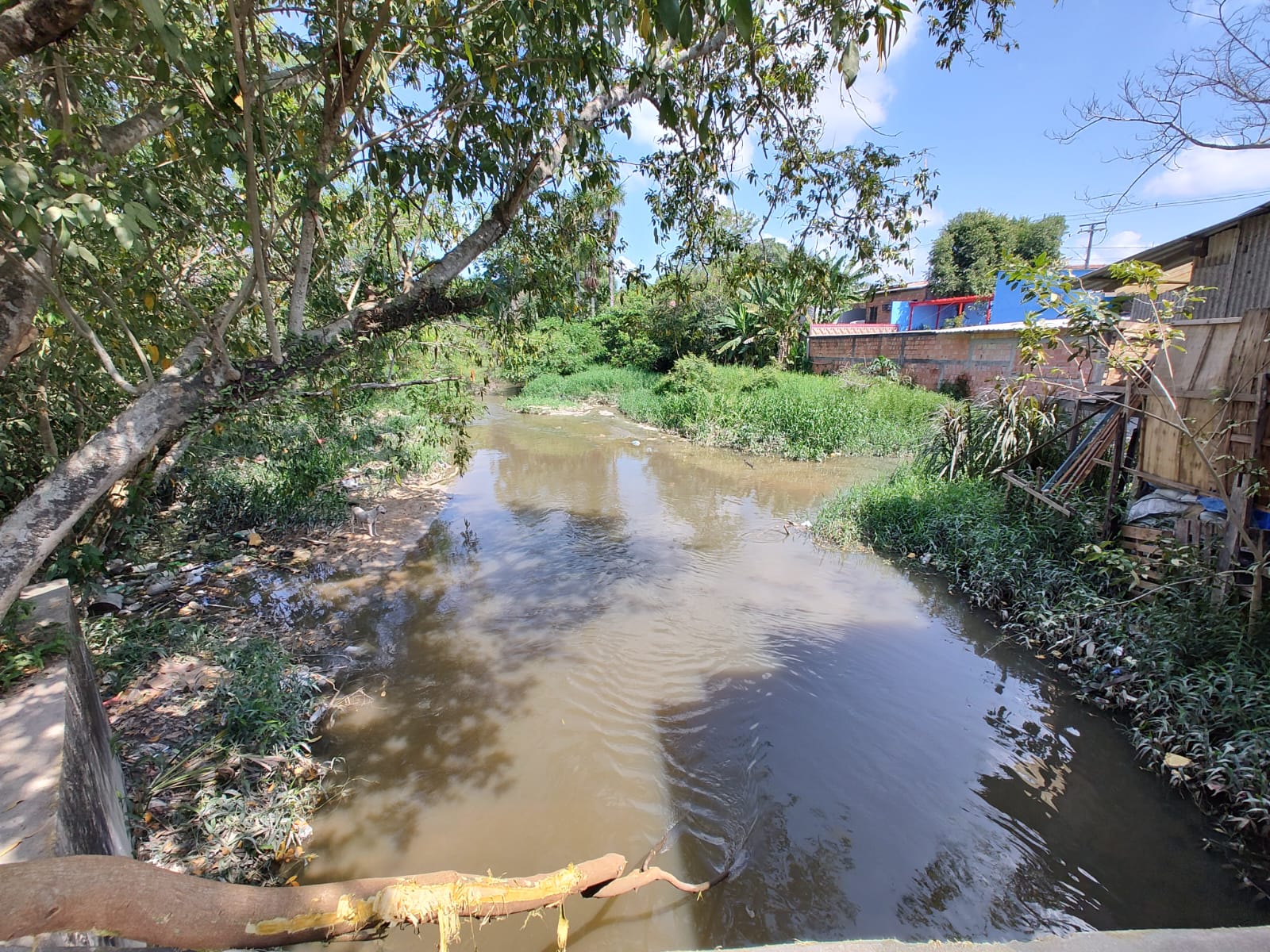 Idoso desaparece após cair em igarapé durante chuva: 'Tem muito jacaré aí'
