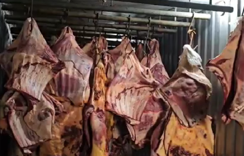 Operação mira empresa que vendeu carne estragada que ficou submersa na enchente de Porto Alegre