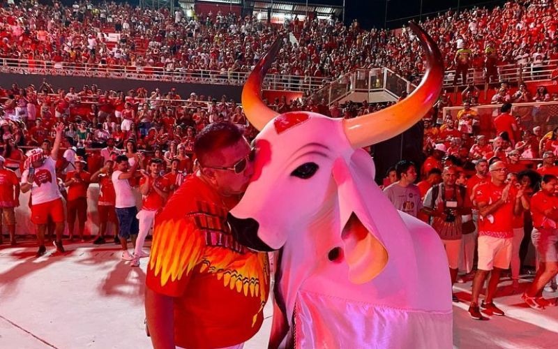 Festival de Parintins 2025: Garantido revela itens e anuncia despedida de David Assayag