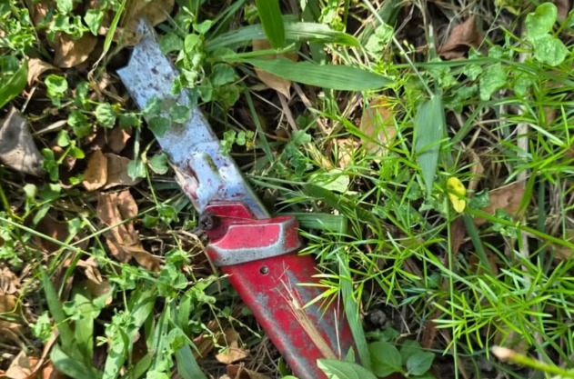 Idoso é encontrado morto sem pênis e coração; mulher confessa crime e diz que comeu os órgãos