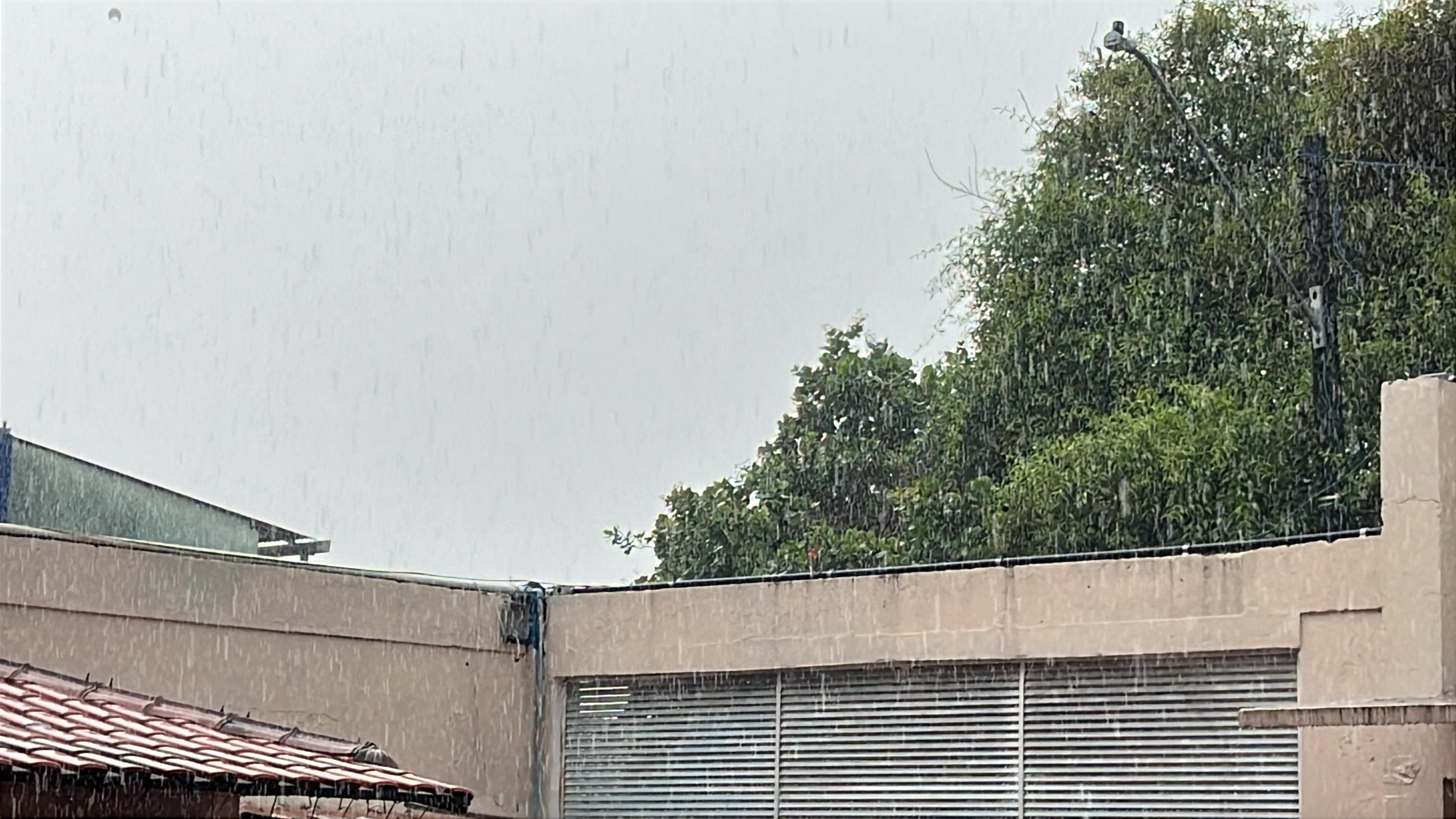 Após neblina intensa, chuva forte e ventania atingem Manaus 