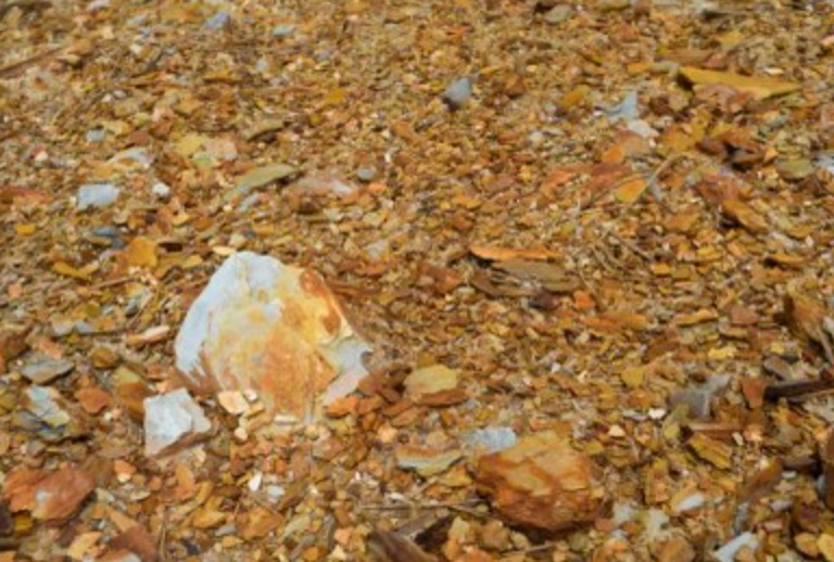 MPF recomenda suspensão imediata de requerimentos e de licenças de mineração na calha do Rio Juruá