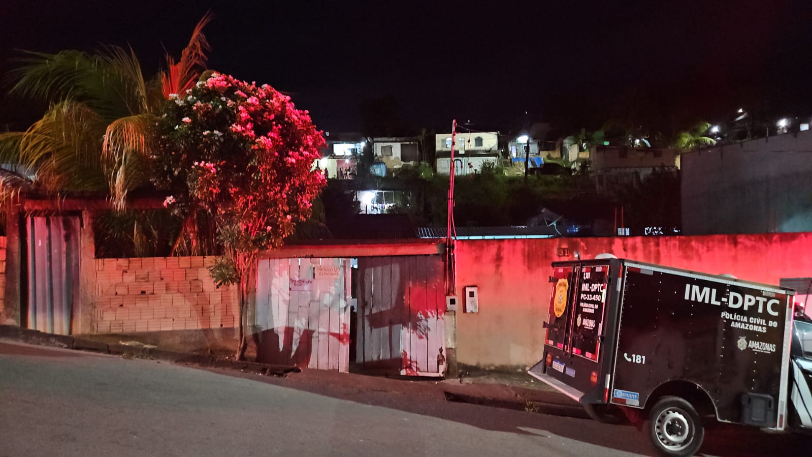 Criminosos invadem casa, matam irmãos e deixam homem ferido em Manaus