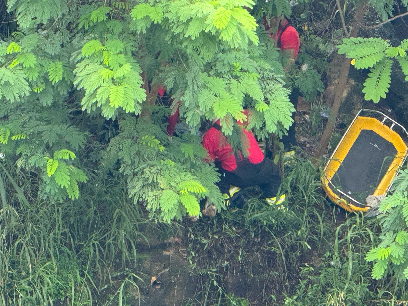 Em decomposição, homem é achado boiando em igarapé na Av. Brasil