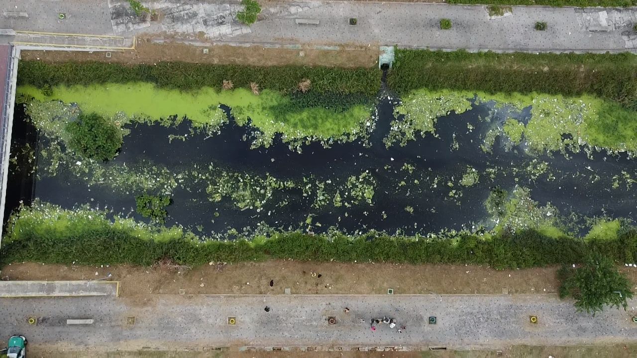 FOTOS: Corpo é encontrado boiando no Igarapé Mestre Chico 