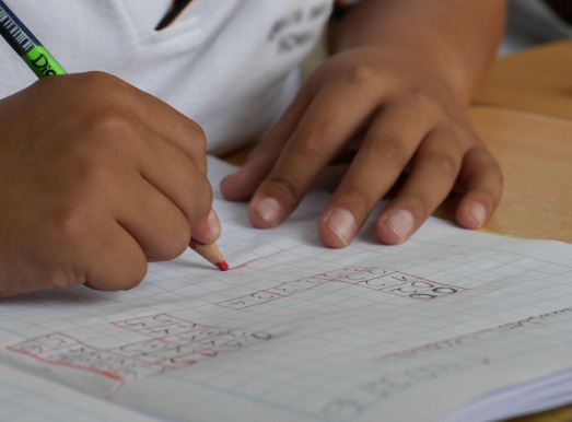 Amazonas está entre os estados que pioraram no índice de alfabetização infantil