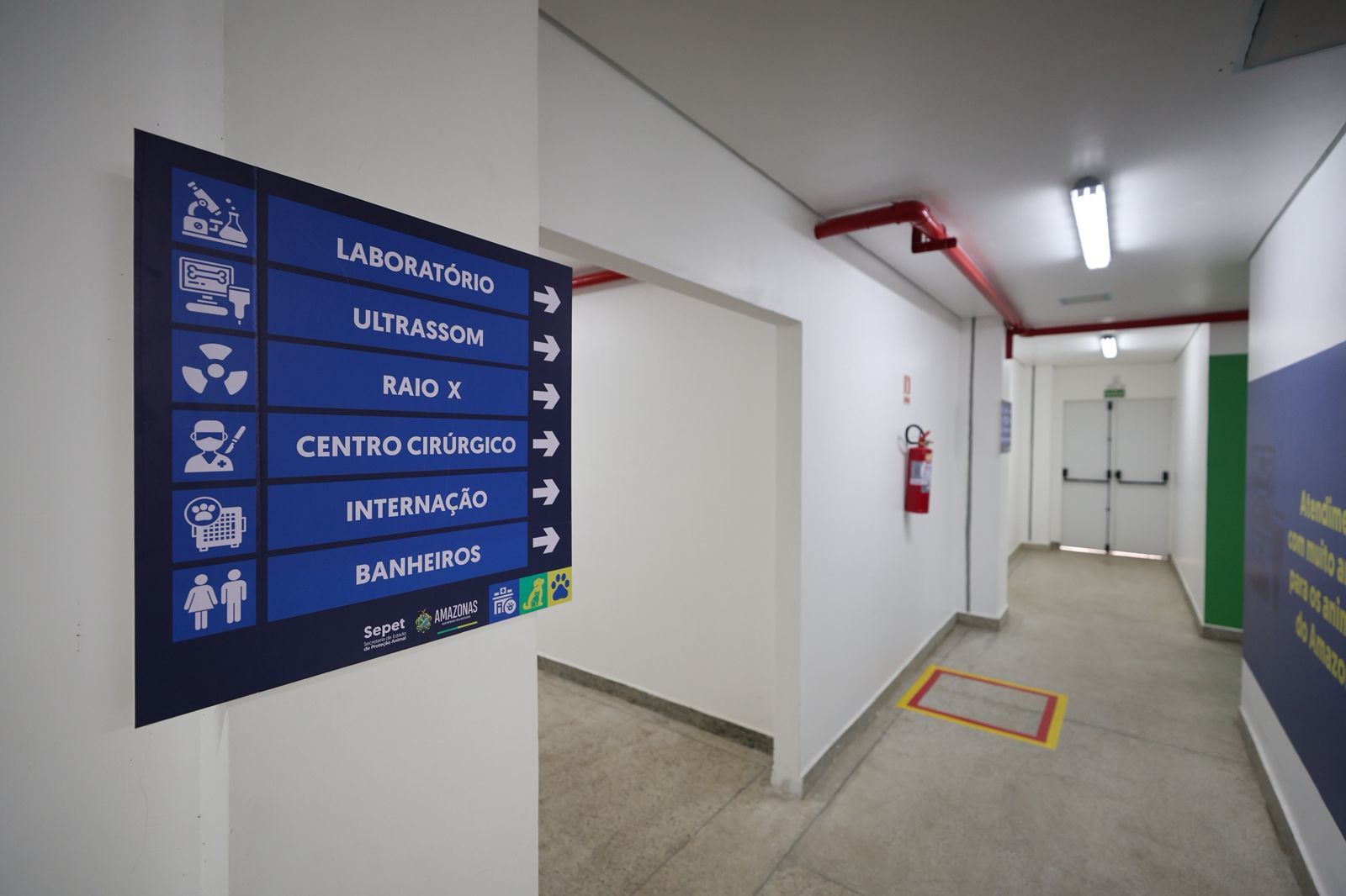 Primeiro Hospital Público Veterinário do Amazonas será entregue neste sábado