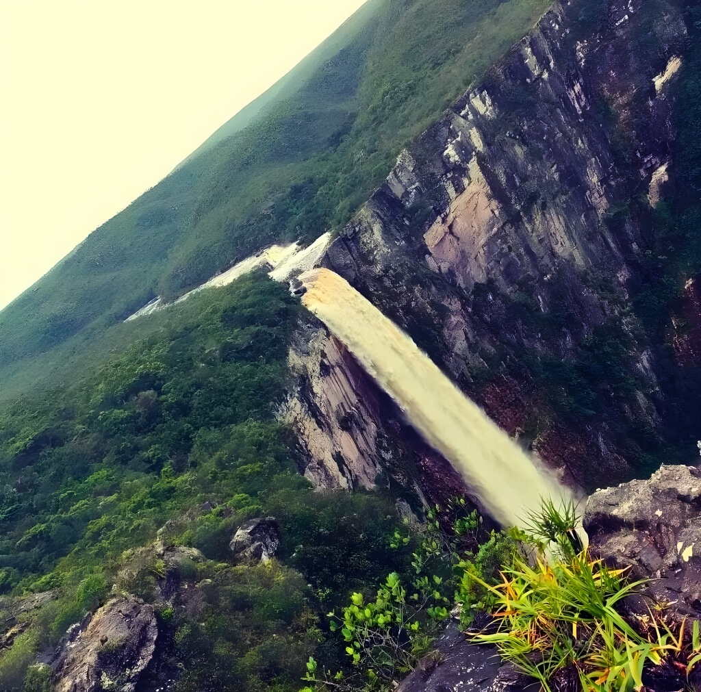 Cinco parques de proteção do Amazonas têm propriedades rurais irregulares, aponta MPAM