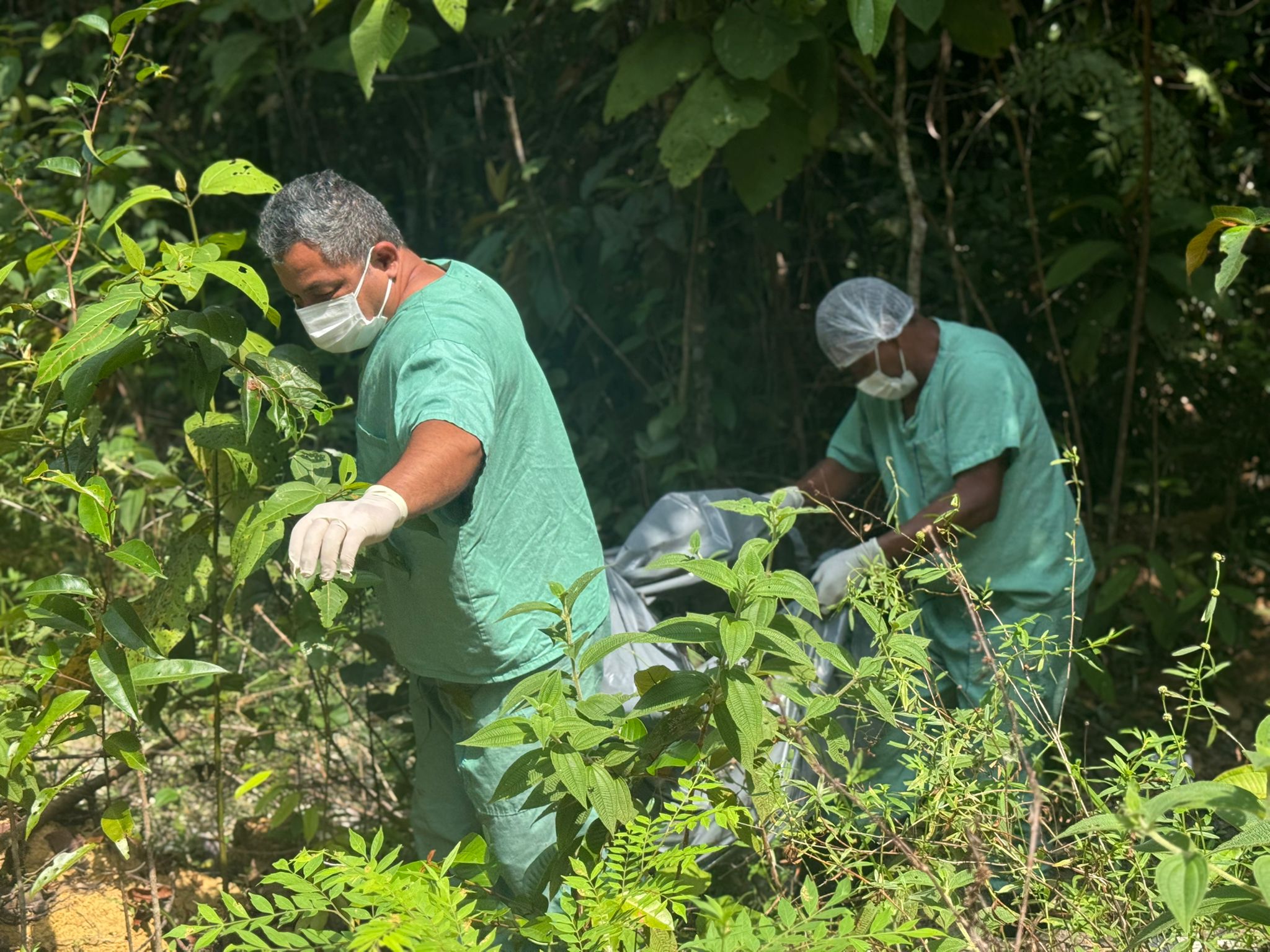 Ossada humana é encontrada em ramal na BR-174