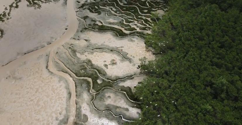 Petrobras recebe licença para perfuração de poço na Foz do Amazonas