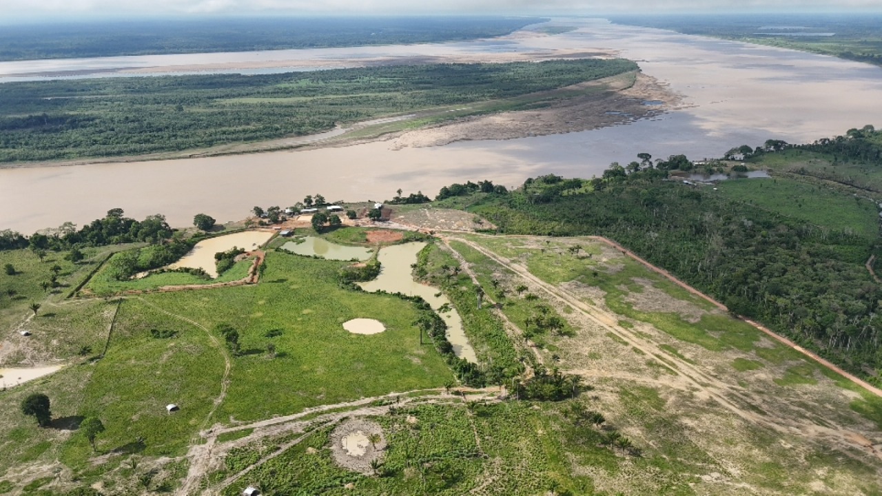 Posseiro é multado em R$ 24 milhões por maior desmatamento do ano no Amazonas