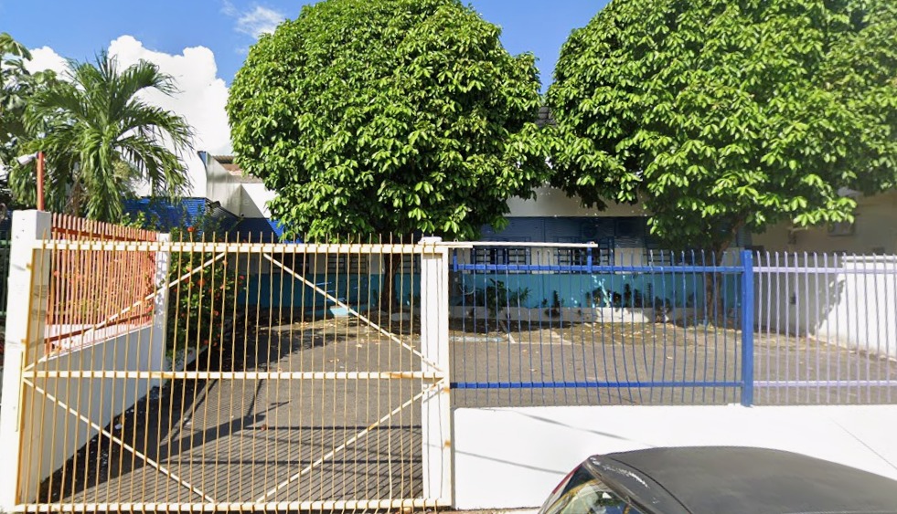 Árvore cai em estacionamento de USF Vila da Prata e atendimento é suspenso 