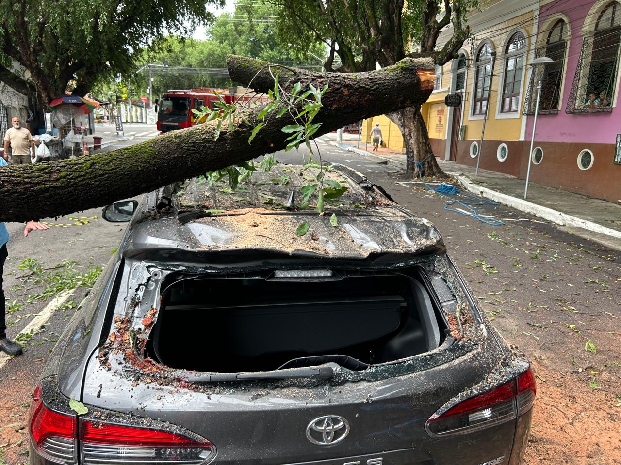 Avenida é desobstruída após queda de tronco sobre carro no Centro