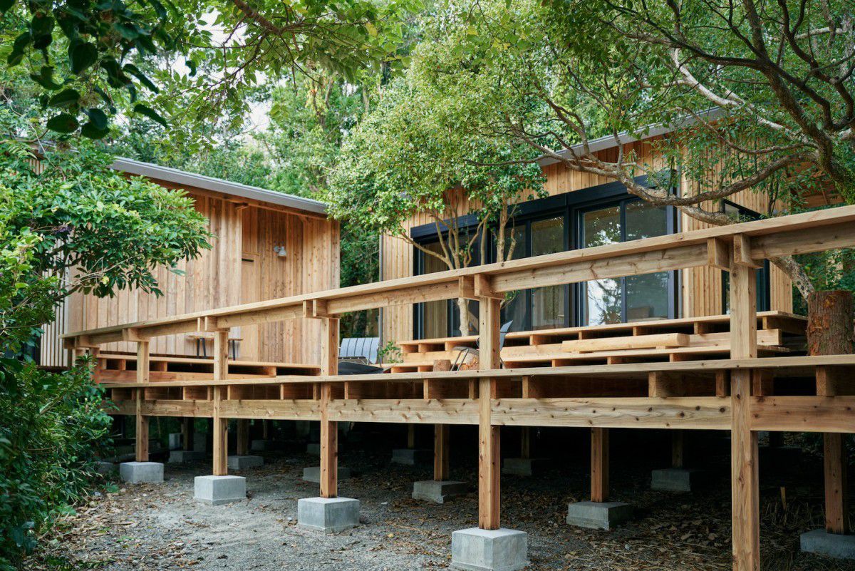 Arquitetura regenerativa ganha força na Amazônia, com foco em sustentabilidade