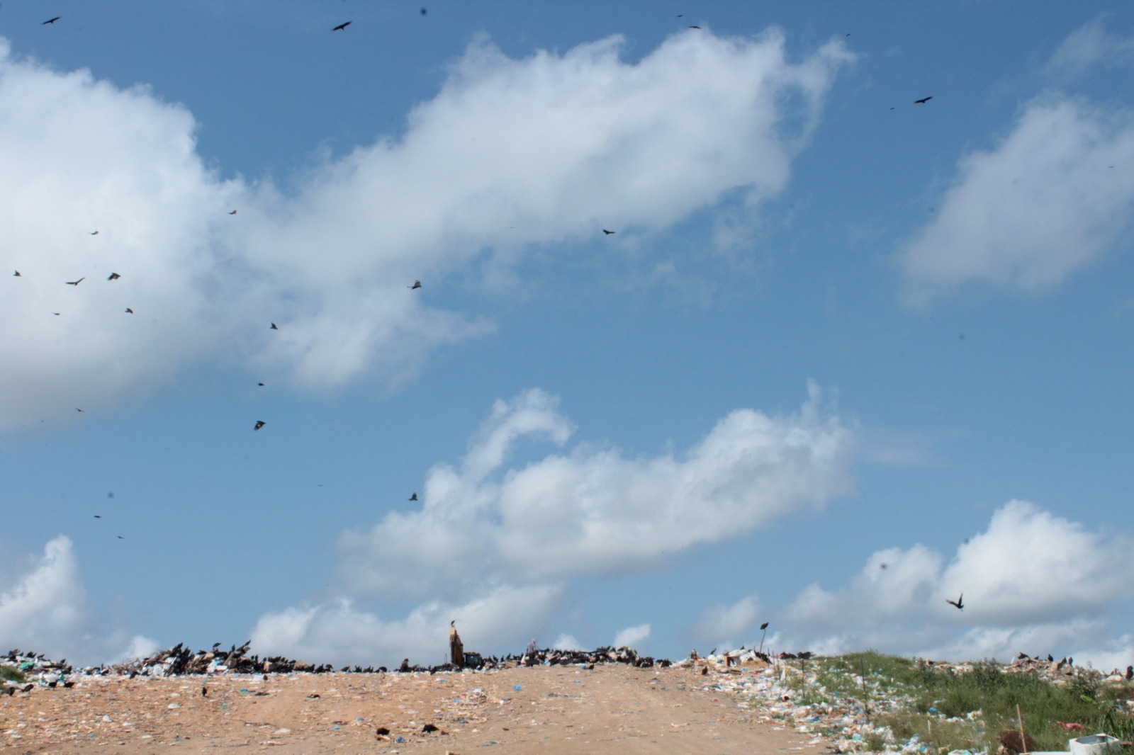 Lixão de Tefé vira alvo do MP após denúncias de insalubridade e enxame de urubus