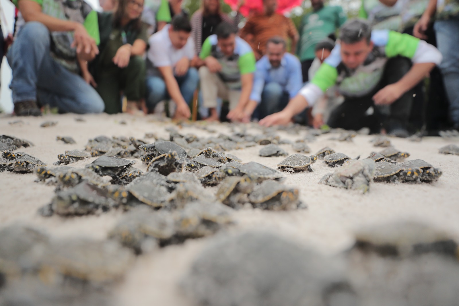Amazonas autoriza pagamento de R$ 1,2 mil para beneficiários do ‘Guardiões da Floresta’